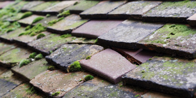 Woodchurch roof repair costs